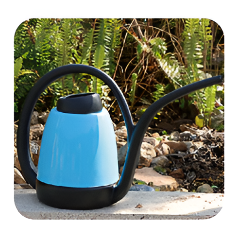 Flowers and Plants Pots