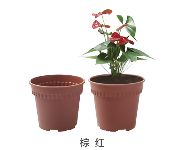 Flowers and Plants Pots