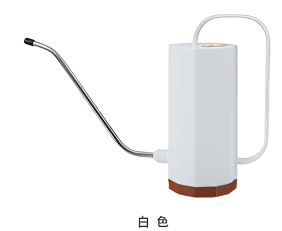 Flowers and Plants Pots