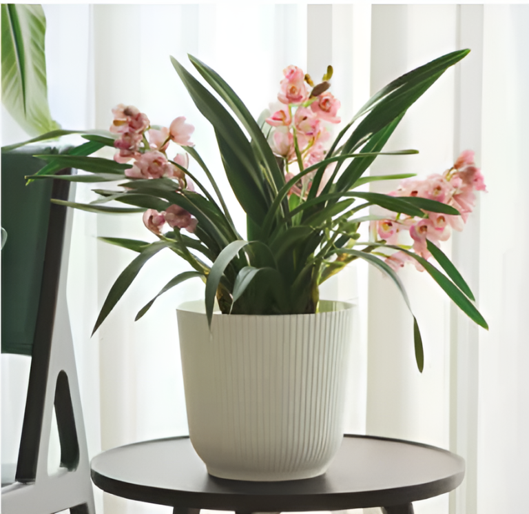 Self Watering Pots Planting