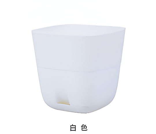 Flowers and Plants Pots