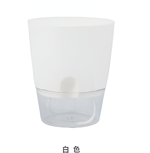 Flowers and Plants Pots