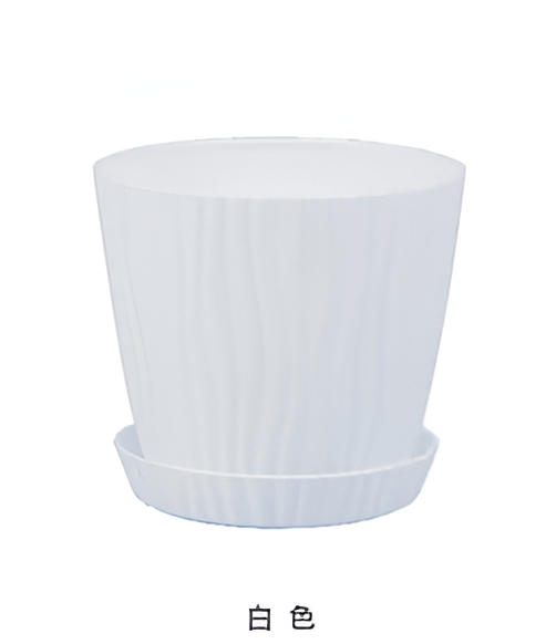 Flowers and Plants Pots