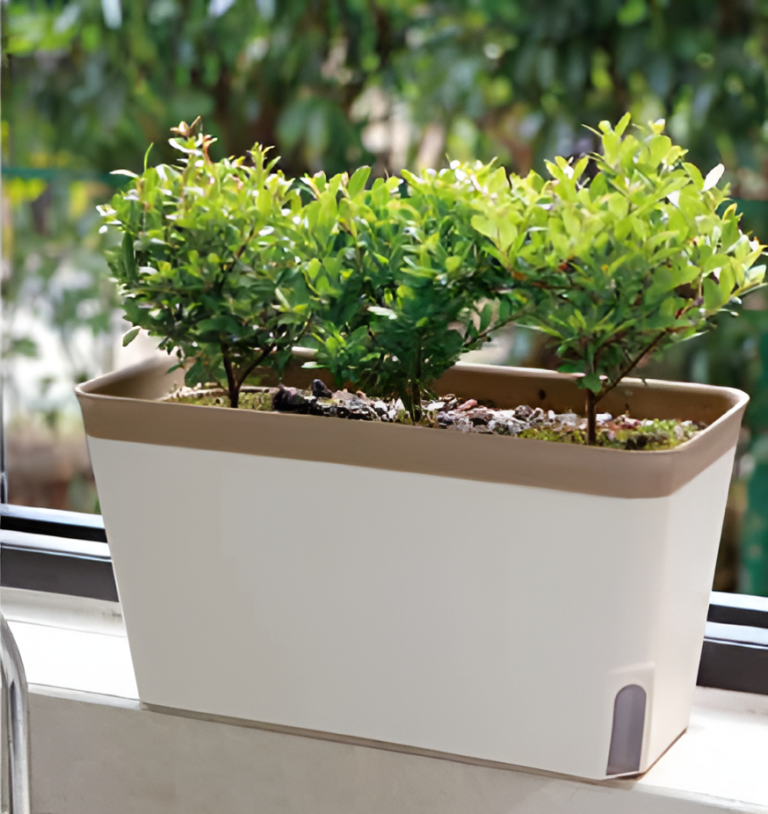 Self Watering Pots Planting