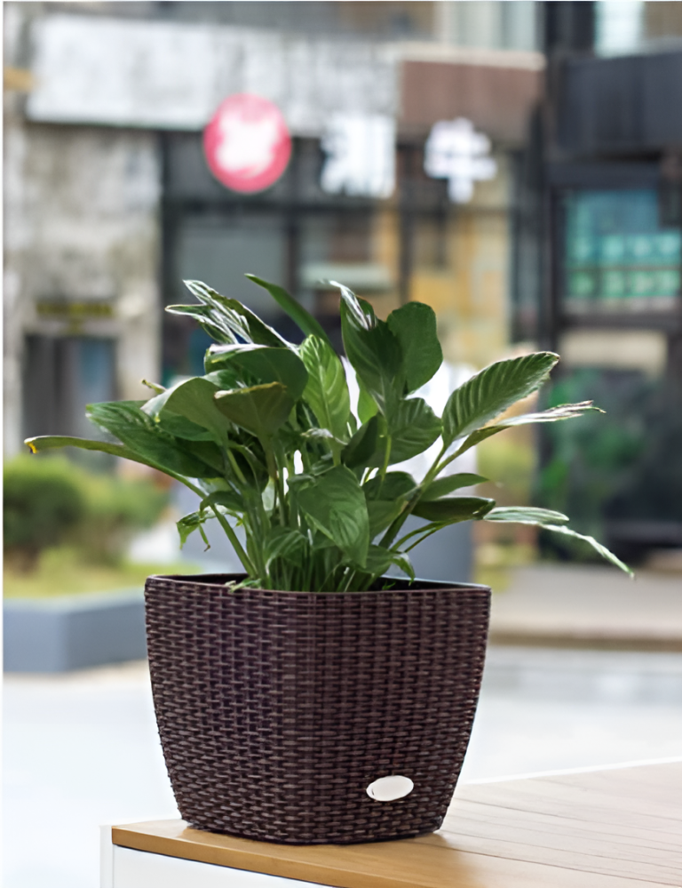 Self Watering Pots Planting