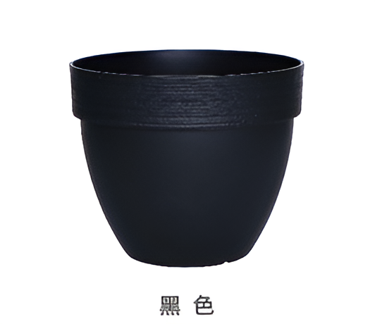 Flowers and Plants Pots