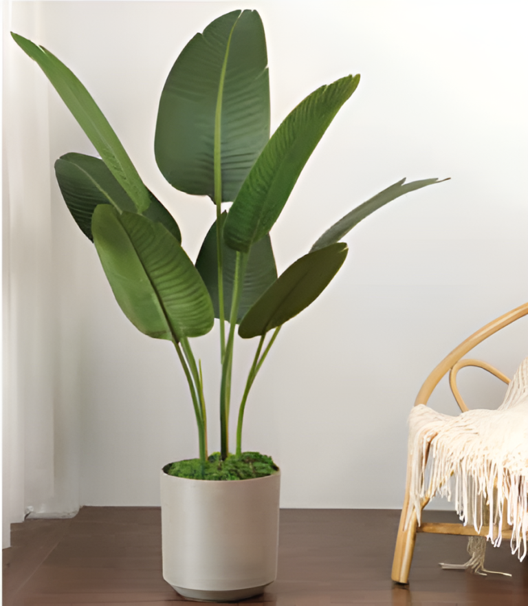 Self Watering Pots Planting