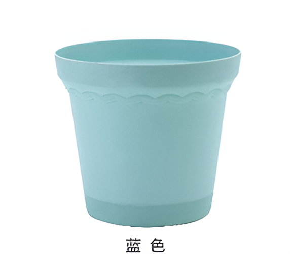 Flowers and Plants Pots