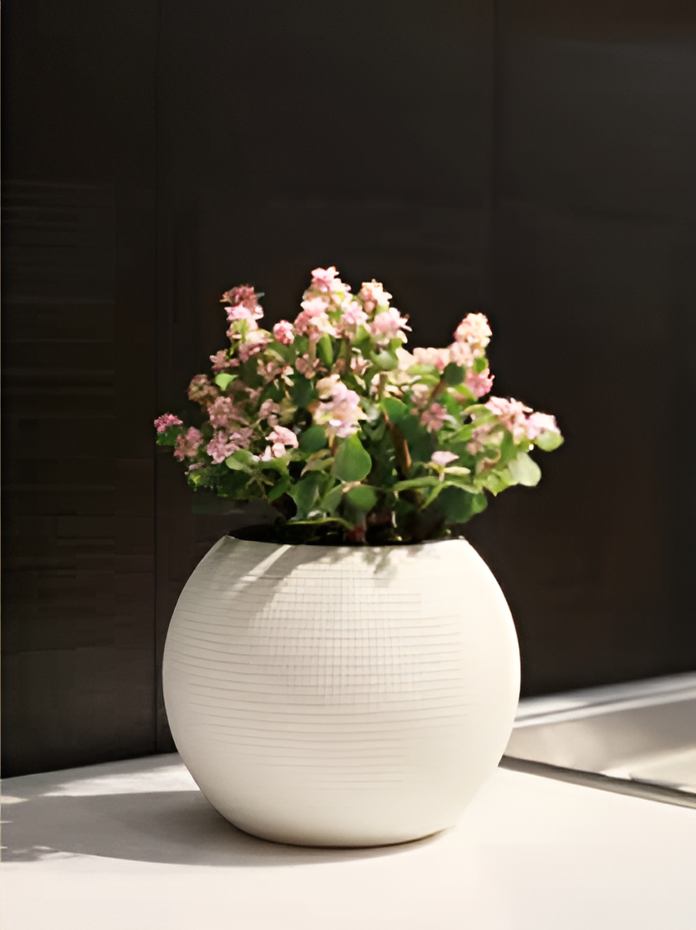 Self Watering Pots Planting