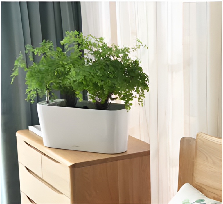 Self Watering Pots Planting