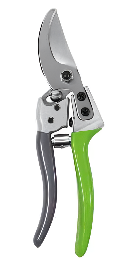 Pruning Shears