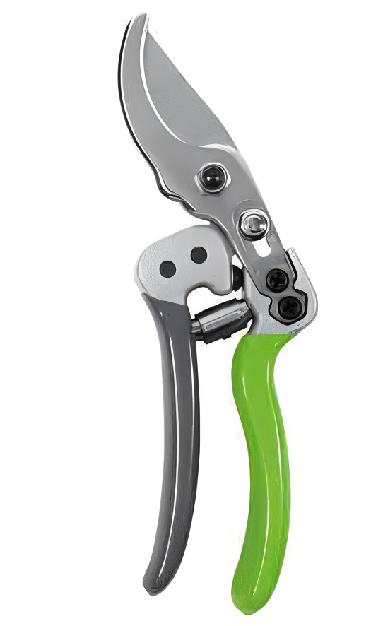 Pruning Shears