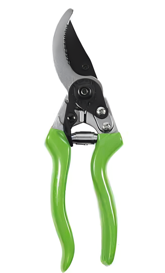 Pruning Shears