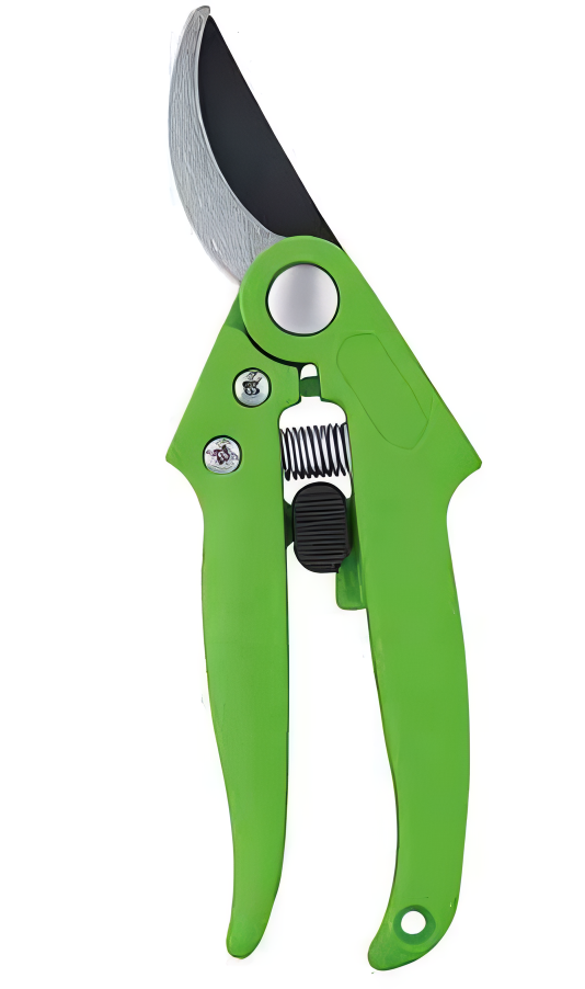 Pruning Shears