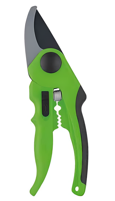 Pruning Shears