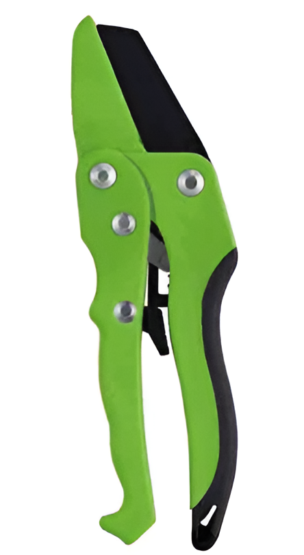 Pruning Shears