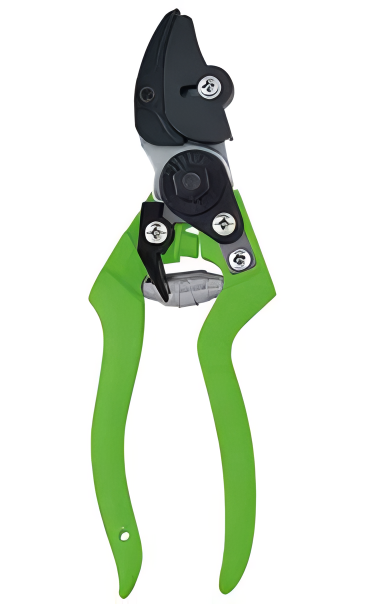 Pruning Shears