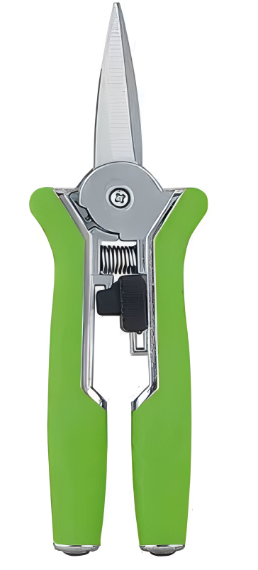 Pruning Shears