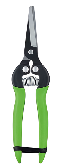 Pruning Shears