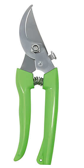 Pruning Shears