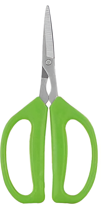 Pruning Shears