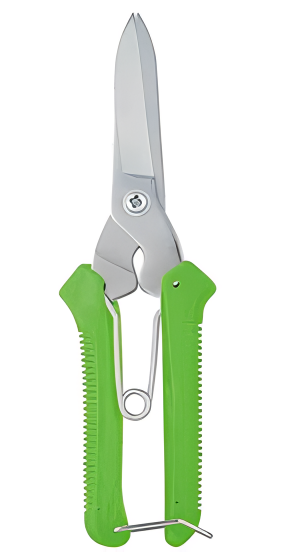 Pruning Shears