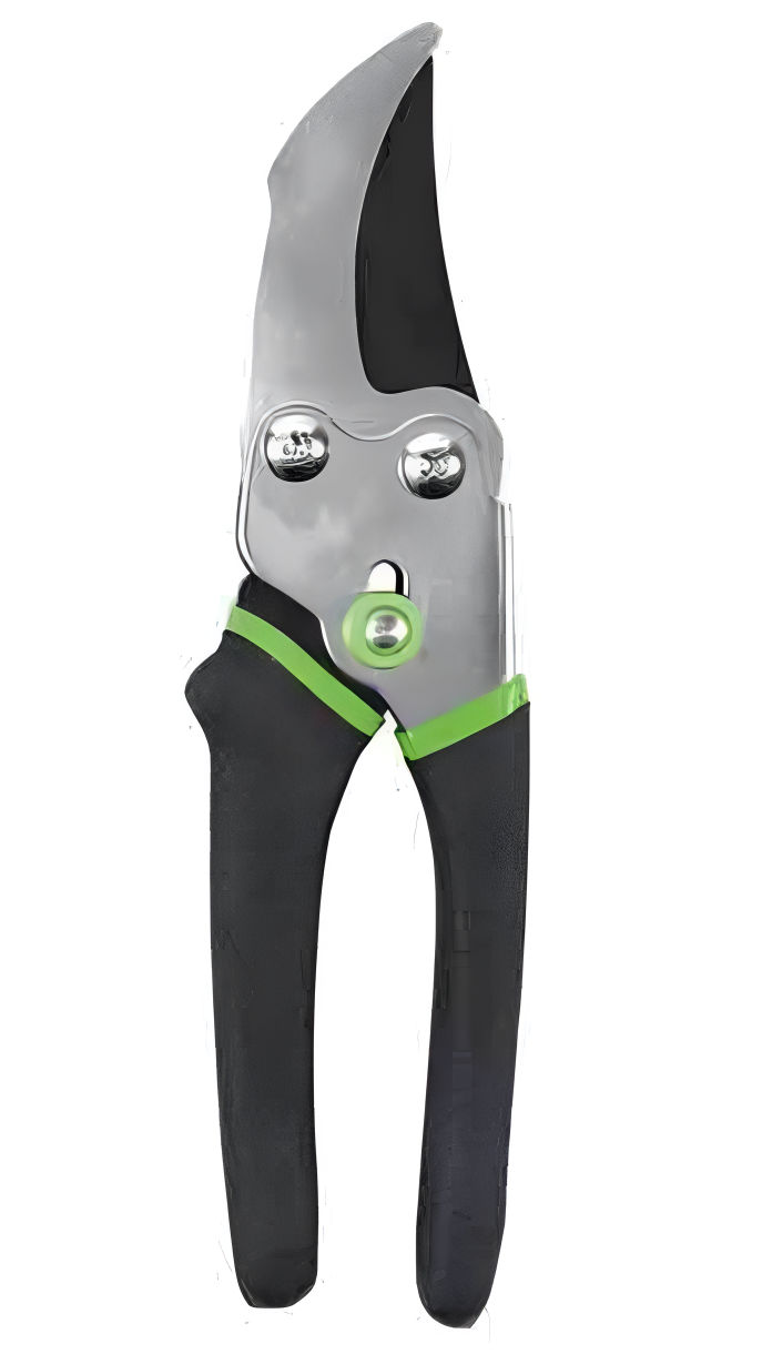Pruning Shears