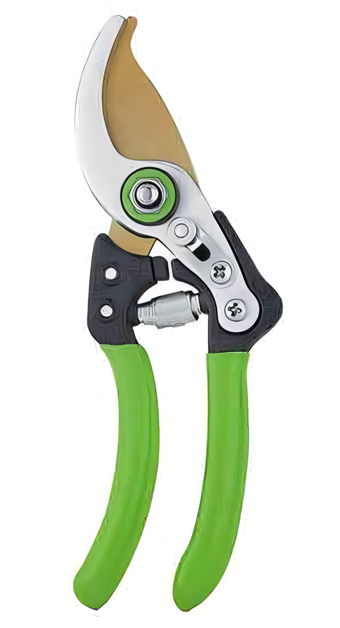 Pruning Shears