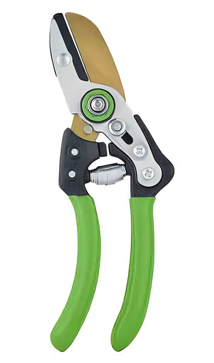 Pruning Shears
