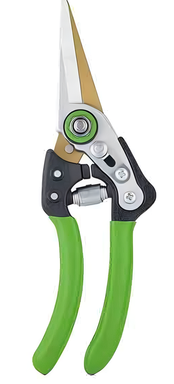 Pruning Shears