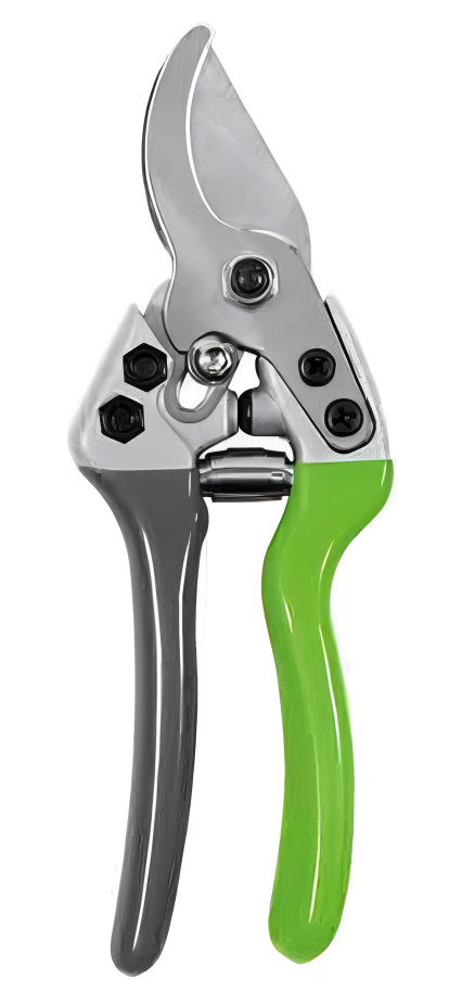 Pruning Shears