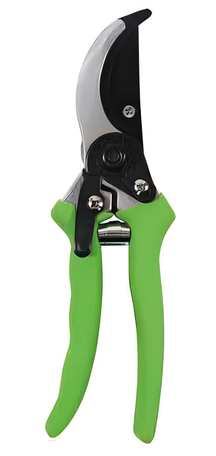 Pruning Shears