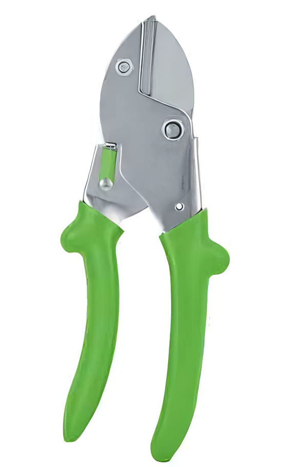 Pruning Shears