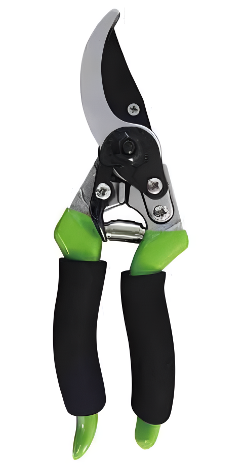 Pruning Shears