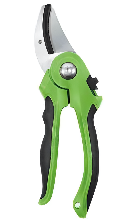 Pruning Shears