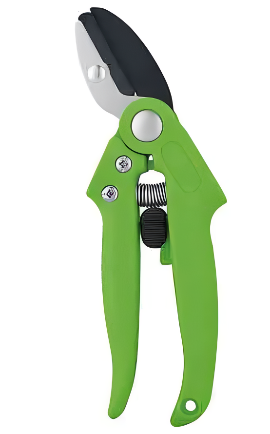 Pruning Shears