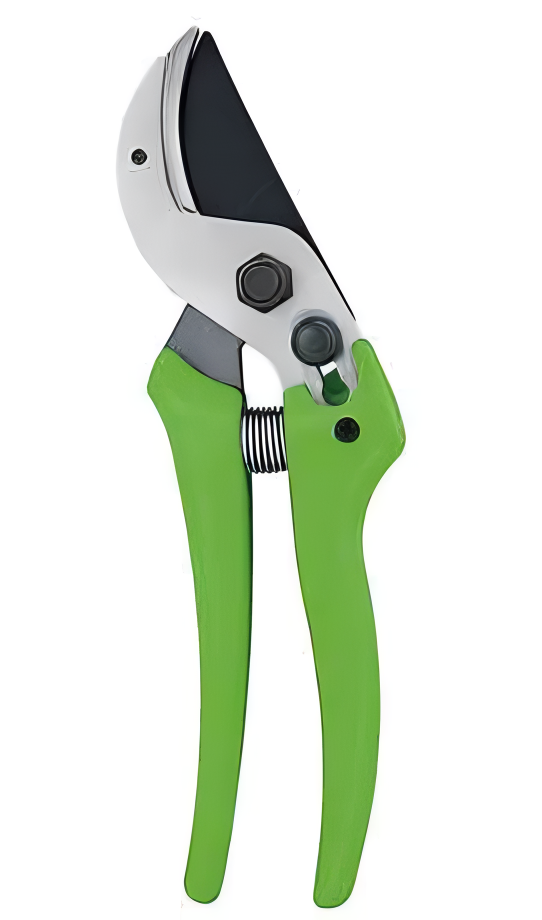 Pruning Shears