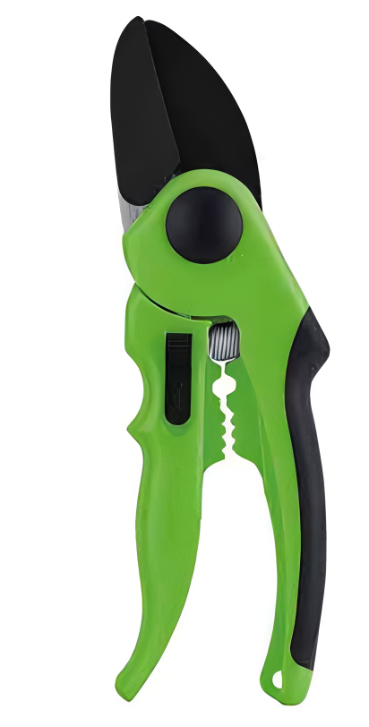 Pruning Shears