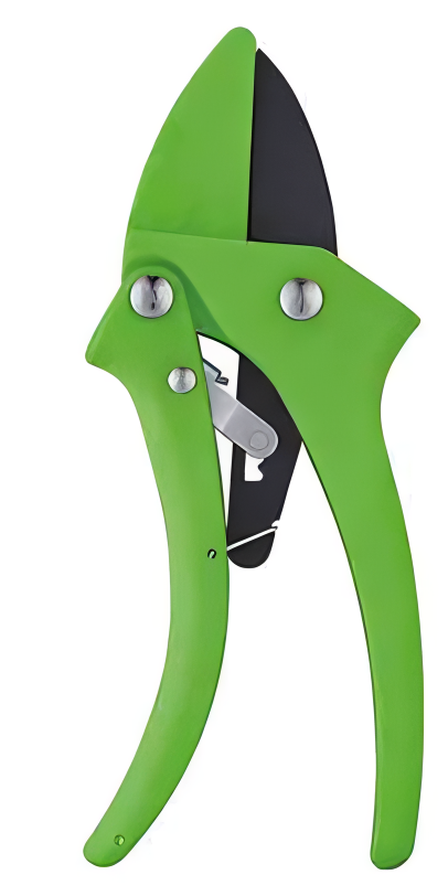 Pruning Shears