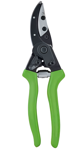 Pruning Shears