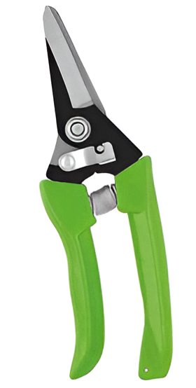 Pruning Shears