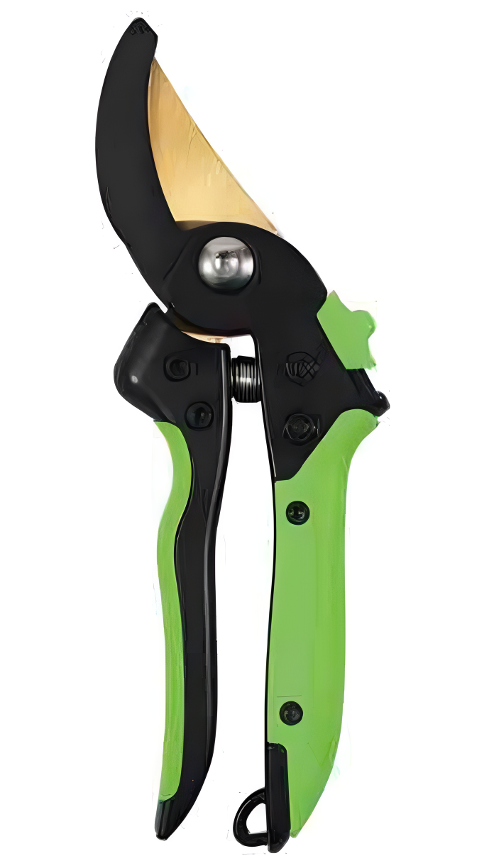 Pruning Shears