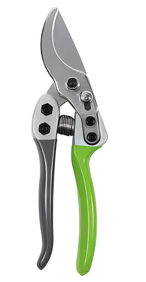 Pruning Shears