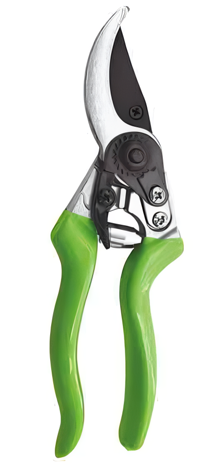 Pruning Shears