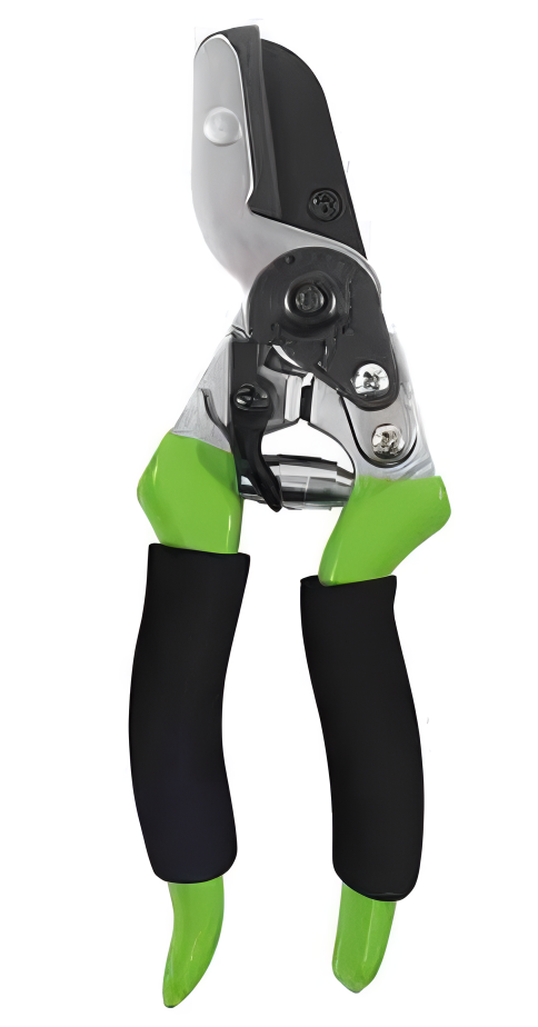 Pruning Shears
