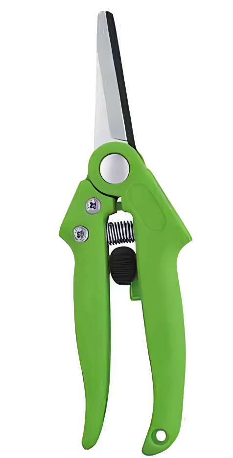 Pruning Shears