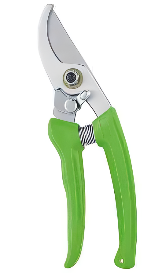 Pruning Shears