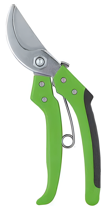 Pruning Shears