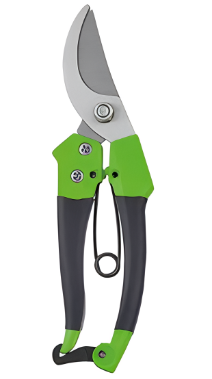 Pruning Shears
