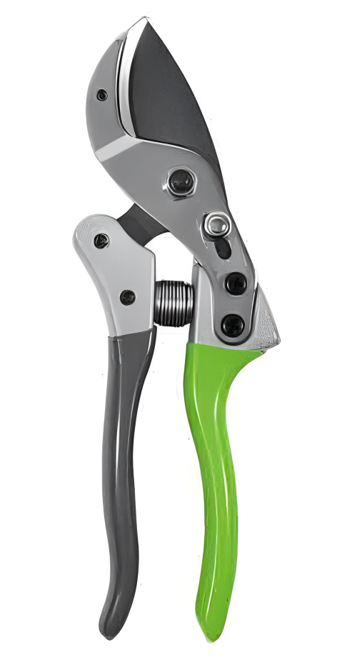 Pruning Shears